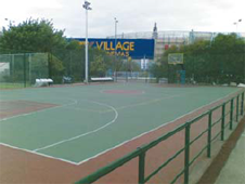 tennis flex2